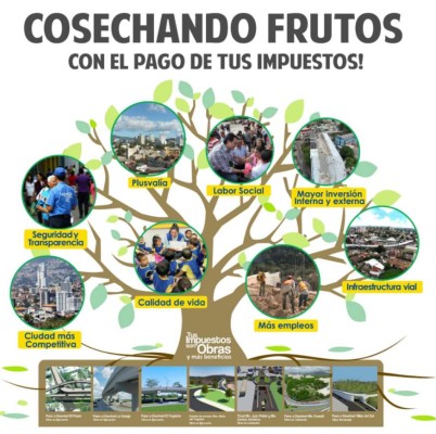 AMDC: Cosechando frutos con el pago de tus impuestos