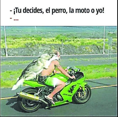 Acá están los mejores Catrachistes de la semana