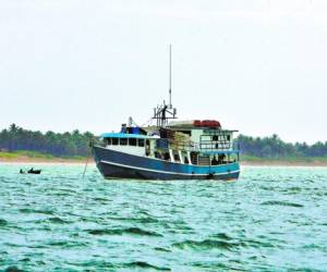 Decenas de botes pesqueros se mueven en alta mar sin ninguna vigilancia de autoridad alguna.