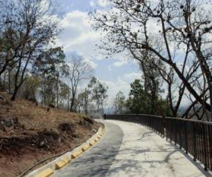 El cerro Juana Laínez, con su sendero principal, está por abrir sus puertas al público capitalino y nacional. Foto: Alejandro Amador/EL HERALDO.