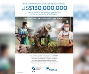 Esta línea Global de Crédito recibida por el BCIE tiene efectos de alto impacto en el país al impulsar los sectores productivos, fortalecer el sector financiero y apoyar la expansión e intercambio comercial de Honduras con otros países.