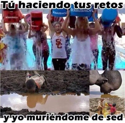 Los mejores memes del Ice Bucket Challenge