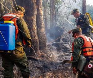 El fuego ha calcinado 3,500 hectáreas de bosque en Nicaragua. Foto: Agencia AFP