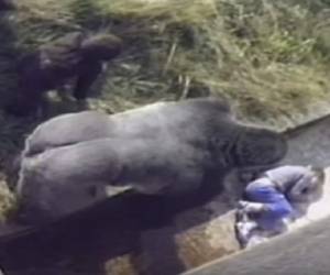 El asesinato del animal causó indignación entre los visitantes y trabajadores del zoológico, además de en redes sociales.