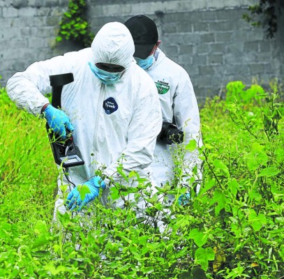 'Profunda preocupación” por crímenes contra menores