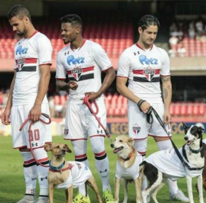 Sao Paulo salió a la cancha con perros para promover la adopción