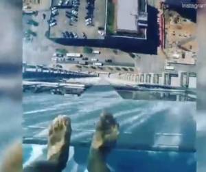 Unos de los habitantes decidieron hacer un video del estanque y solo en ver las imágenes provoca vértigo.