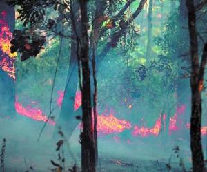 El incendio en el sector de Upare era uno de los tres activos de ayer.