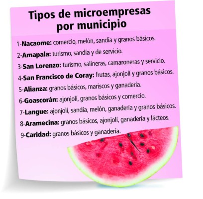 Con respaldo internacional operan microempresas