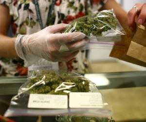 En abril pasado el congresista Álvaro Velásquez, del partido izquierdista Convergencia, presentó la propuesta a sus colegas para reglamentar el cultivo.