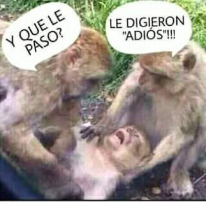 Los mejores memes sobre Lady ofendida ya están aquí