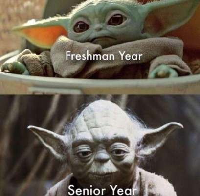 Los memes más divertidos de 2019