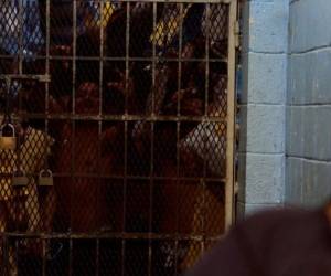 Guerrero es uno de los estados más pobres de México y uno de los más golpeados por el narcotráfico y el crimen organizado, en medio de las disputas por el control de territorios y actividades delictivas entre diversas bandas criminales.