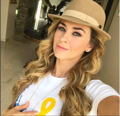Aracely Arambula encanta a sus 42 años con un sexy bikini