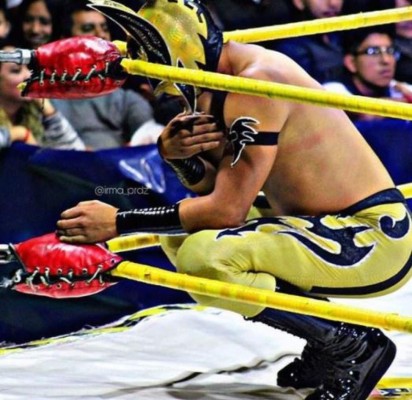 El joven tras la máscara del Príncipe Aéreo, el luchador que murió durante una pelea (FOTOS)