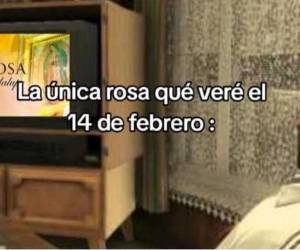 Cada 14 de febrero, con la conmemoración del Día del Amor y la Amistad o Día de San Valentín, las redes sociales se inundan con los más divertidos memes