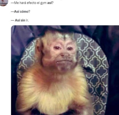 Estos fueron los mejores memes que marcaron el 2021 (FOTOS)