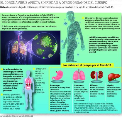 El Covid-19 se multiplica y daña varios órganos del cuerpo humano