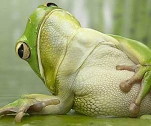 Son varias las opciones que se pueden utilizar de manera natural, aunque las personas no están acostumbradas.