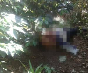 Los cuerpos fueron hallados por vecinos del lugar (Foto: El Heraldo Honduras/ Noticias de Honduras)