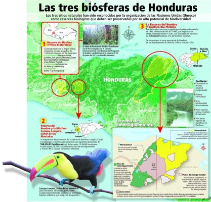 Honduras tiene tres pulmones naturales