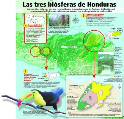 Honduras tiene tres pulmones naturales