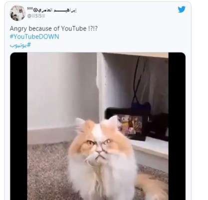 Los inesperados memes que dejó la caída mundial de Google