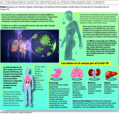 El Covid-19 se multiplica y daña varios órganos del cuerpo humano