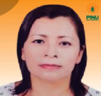 Estos son los 23 candidatos a diputados por el Pinu en Francisco Morazán (FOTOS)&nbsp;&nbsp;