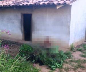 La humilde vivienda donde residía la señora atacada a piochazos (Foto: PN/ El Heraldo Honduras/ Noticias de Honduras)