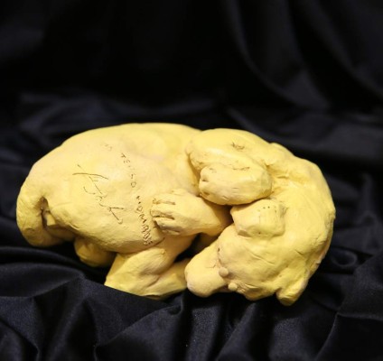 Un legado en piedra para Tegucigalpa