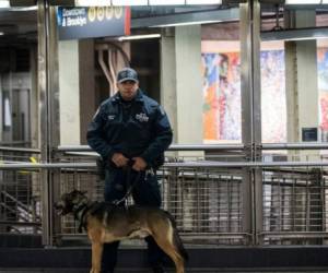 Los animales han participado en al menos ochenta casos de investigación, según los informes de prensa, entre ellos, el de una niña cuyo agresor fue identificado y entregado a los autoridades.