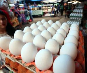El precio del huevo se ha mantenido estable en el mercado hondureño durante los últimos días.