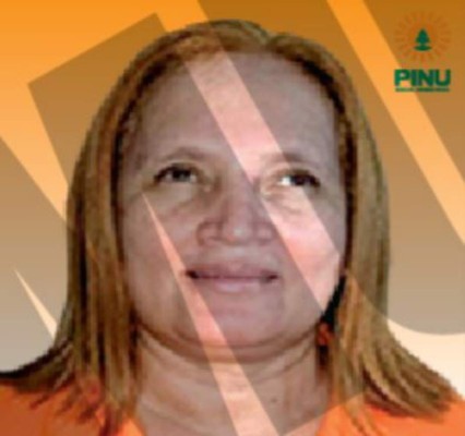 Estos son los 23 candidatos a diputados por el Pinu en Francisco Morazán (FOTOS)&nbsp;&nbsp;