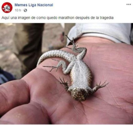 Yustin Arboleda ficha con Olimpia y los memes hacen trizas a Marathón