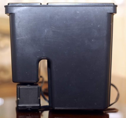 Acuariofilia, cuidado de los peces