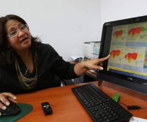 Los sectores de turismo y economía son los más dañados con las acciones ilícitas.