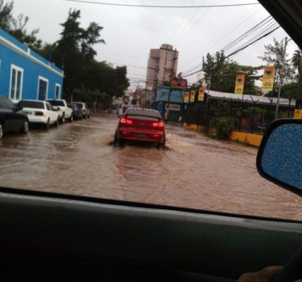 Un muerto y daños en 15 colonias deja tormenta en la capital