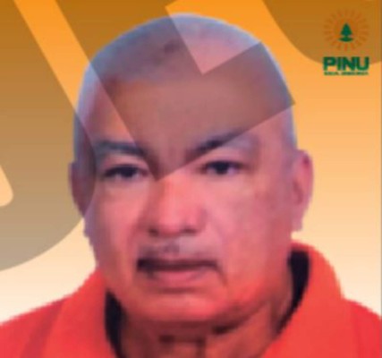 Estos son los 23 candidatos a diputados por el Pinu en Francisco Morazán (FOTOS)&nbsp;&nbsp;