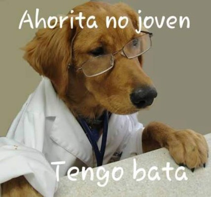 En redes celebran el Día del Médico Hondureño con memes