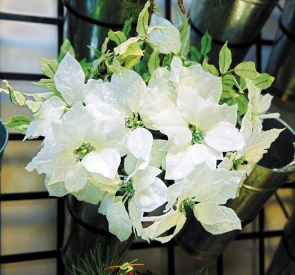 ¡A vivir una Navidad tricolor!