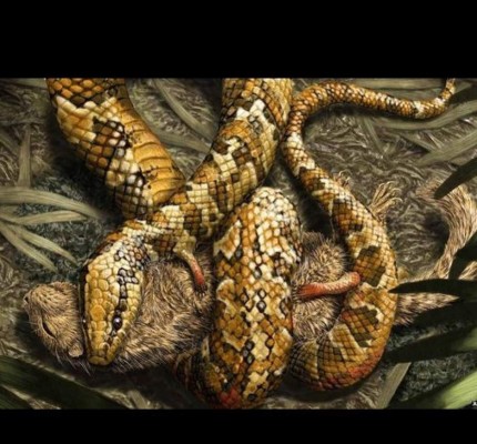 Serpiente de cuatro patas