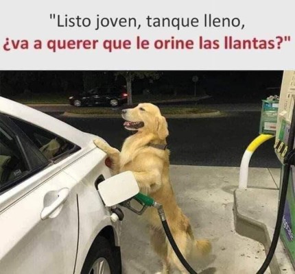 Catrachistes, los mejores chistes para reír este fin de semana