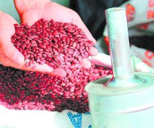 La venta de frijoles rojos alcanzó en junio niveles históricos al cotizarse en la capital a 150 lempiras la medida.