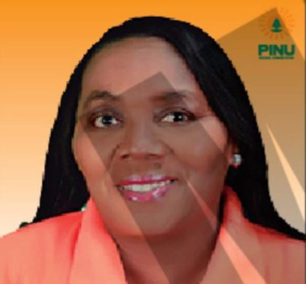 Estos son los 23 candidatos a diputados por el Pinu en Francisco Morazán (FOTOS)&nbsp;&nbsp;