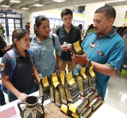 Elaboran productos y artículos a base de diversas especies de plantas útiles