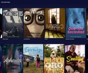 Puede acceder al panel a través de www.piccenplay.com.