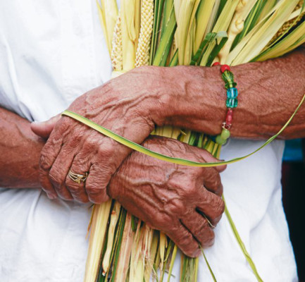Iglesia católica pide a hondureños caminar junto a Cristo en la semana mayor