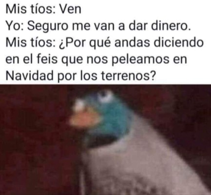 Los divertidos memes que desataron las peleas de terrenos en Navidad&nbsp;&nbsp;