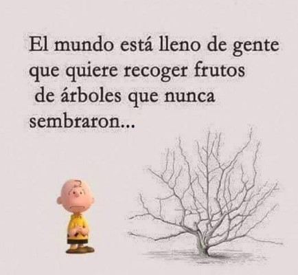 Catrachistes, los mejores chistes para reír este fin de semana